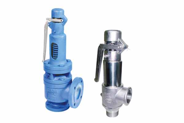 pop type safety valve POP Safety Valve Manufacturer in India