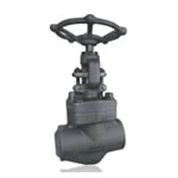 Forged Steel Globe Valve at Best Price
