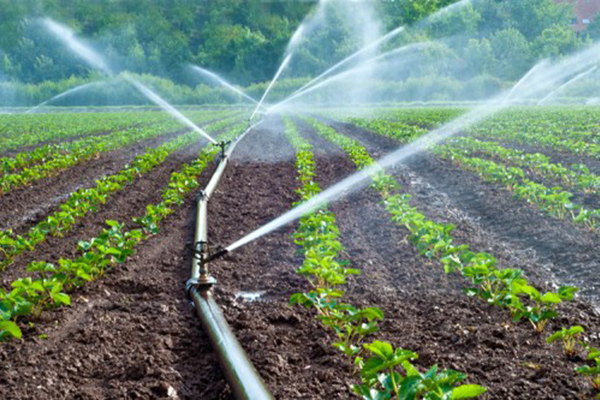 Irrigation Irrigation - Control Ball Valves manufacturer