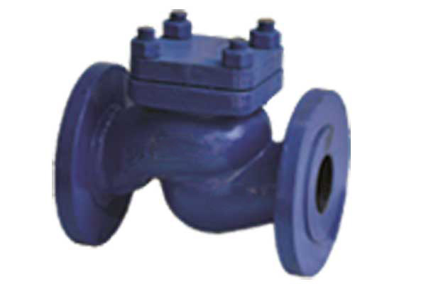  non return valve Supplier in Ahmedabad